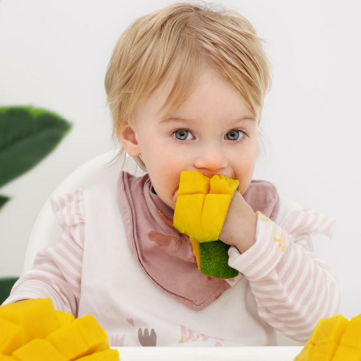 Imagem ilustrativa para o artigo Pode dar manga para bebê de 6 meses? Guia completo para uma introdução alimentar segura da Genuína Conexão